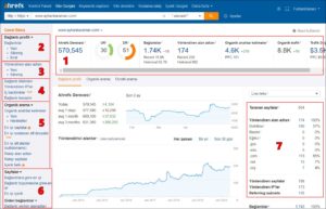 Ahrefs İlk Bakış