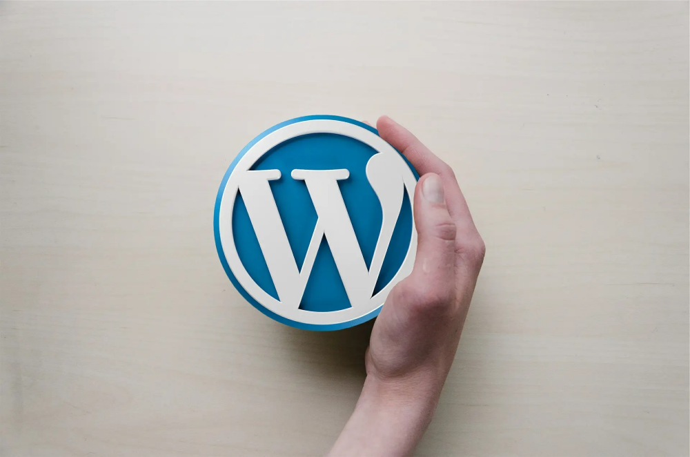 Wordpress SEO