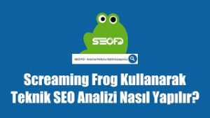 screaming frog